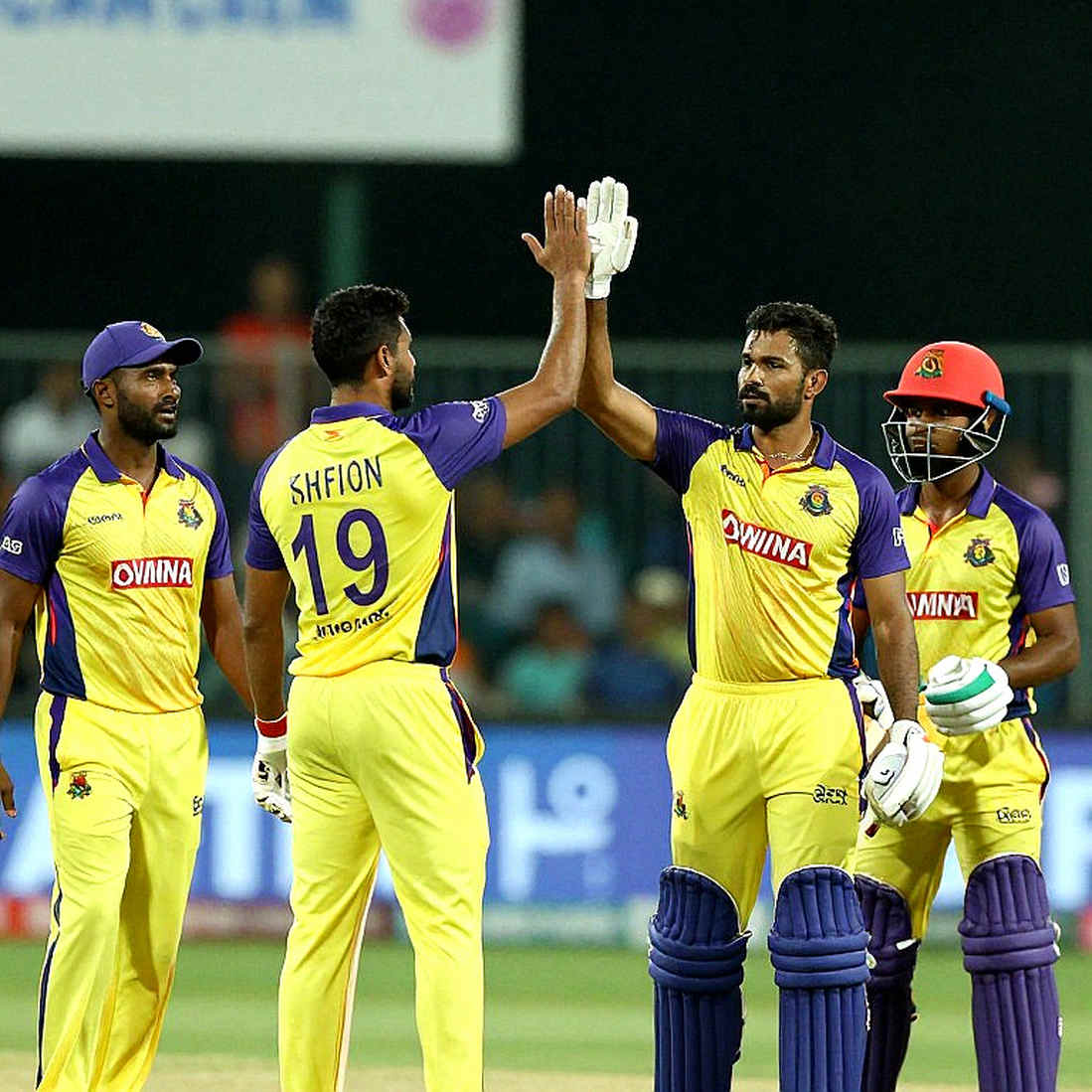 The Silence of an Empty Page: The Cricket Analysis That Told the Truth by Finding Nothing